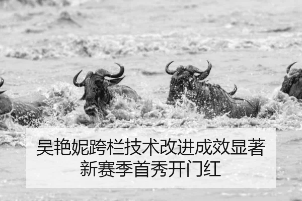 wu-yan-ni-kua-lan-ji-shu-gai-jin-cheng-xiao-xian-zhu-xin-sai-ji-shou-xiu-kai-men-hong-3-609.jpg