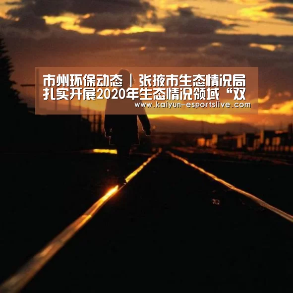 市州环保动态 | 张掖市生态情况局扎实开展2020年生态情况领域“双随机、一公然”羁系事情:开云体育(图4) 开云体育