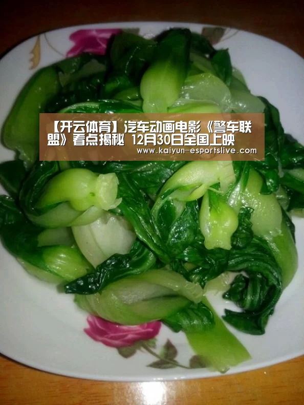 【开云体育】汽车动画电影《警车联盟》看点揭秘 12月30日全国上映(图1) 开云赛事
